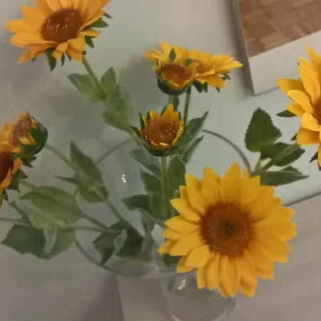 Mi Piace Alojamento de Acomodação e Pequeno-almoço